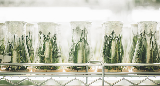 Caracterización química de aguas para riego e hidroponía